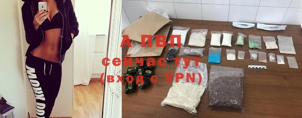 гидропоника Дмитриев