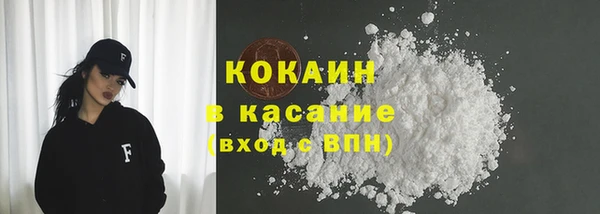 гидропоника Дмитриев
