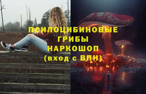 прущая мука Дмитровск