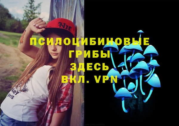 гидропоника Дмитриев