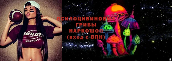 прущая мука Дмитровск
