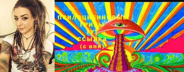 гидропоника Дмитриев